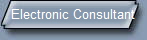 Electronic Consultant
